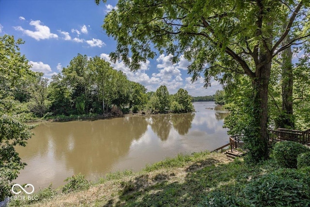 8315 Union Chapel Rd, Indianapolis, IN 46240 - water view featuring a forest