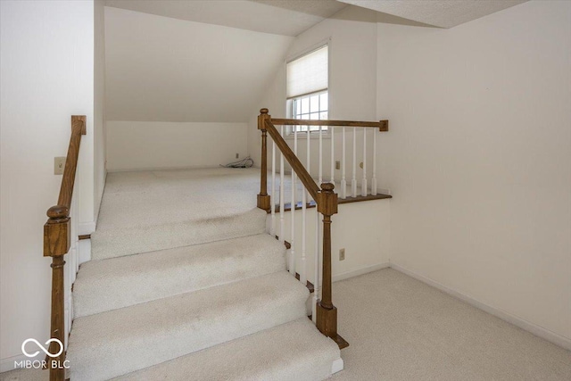8315 Union Chapel Rd, Indianapolis, IN 46240 - stairs featuring carpet and vaulted ceiling