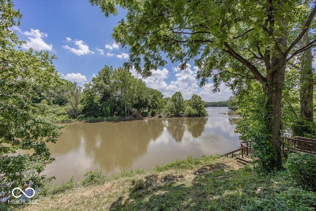 8315 Union Chapel Rd, Indianapolis, IN 46240 - water view with a heavily wooded area