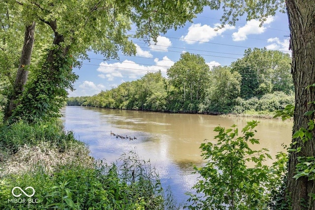 8315 Union Chapel Rd, Indianapolis, IN 46240 - water view featuring a heavily wooded area