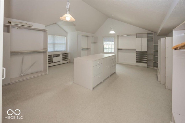 8315 Union Chapel Rd, Indianapolis, IN 46240 - spacious closet with lofted ceiling and light colored carpet
