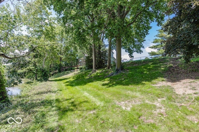 8315 Union Chapel Rd, Indianapolis, IN 46240 - view of yard
