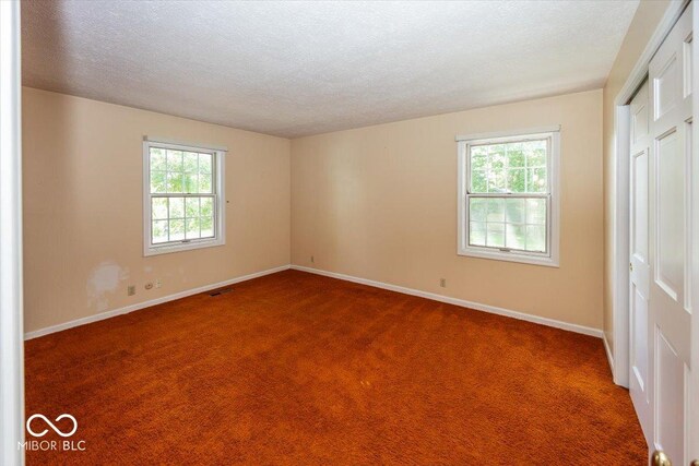 8315 Union Chapel Rd, Indianapolis, IN 46240 - unfurnished room with plenty of natural light, carpet flooring, and a textured ceiling