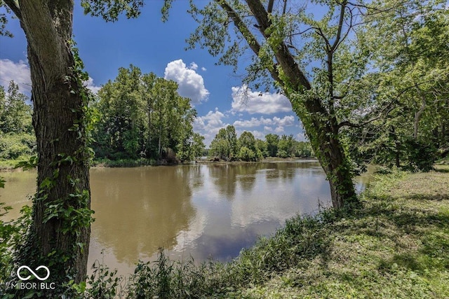 8315 Union Chapel Rd, Indianapolis, IN 46240 - water view with a heavily wooded area