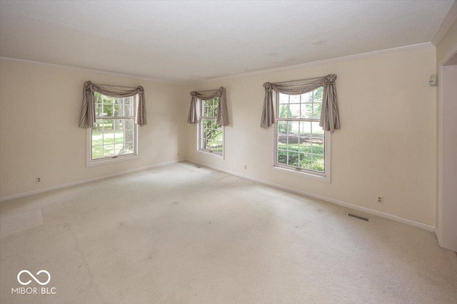 8315 Union Chapel Rd, Indianapolis, IN 46240 - carpeted spare room featuring ornamental molding and baseboards
