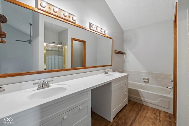 4609 Framington Ct, Indianapolis, IN 46254 - full bathroom featuring vaulted ceiling, a textured ceiling, double vanity, a garden tub, and a shower stall