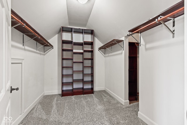 4465 W Woodbridge Ln, New Palestine, IN 46163 - walk in closet featuring carpet and lofted ceiling