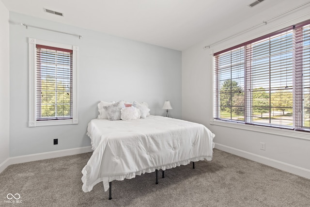 4465 W Woodbridge Ln, New Palestine, IN 46163 - bedroom with multiple windows and carpet flooring