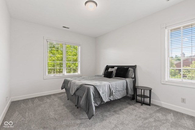 4465 W Woodbridge Ln, New Palestine, IN 46163 - bedroom featuring multiple windows and carpet