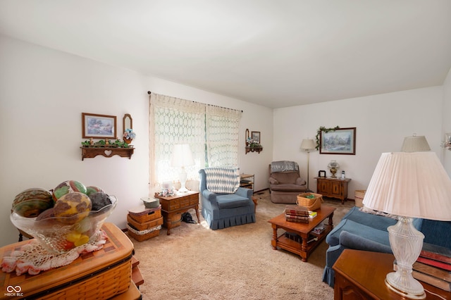 5081 N 500 W, Fairland, IN 46126 - view of carpeted living area