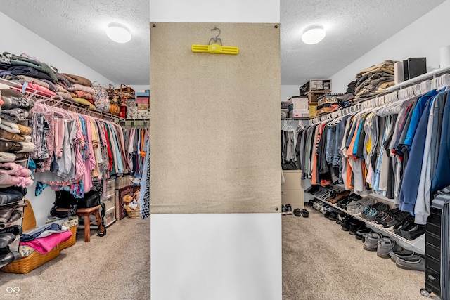7047 Lancaster Ln, Avon, IN 46123 - walk in closet with carpet