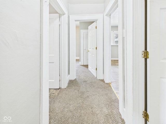 1201 Arrow Ave, Anderson, IN 46016 - corridor with carpet