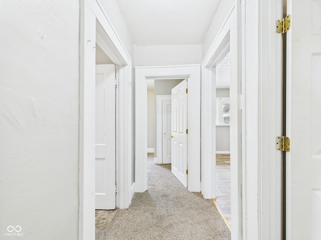 1201 Arrow Ave, Anderson, IN 46016 - corridor with light carpet