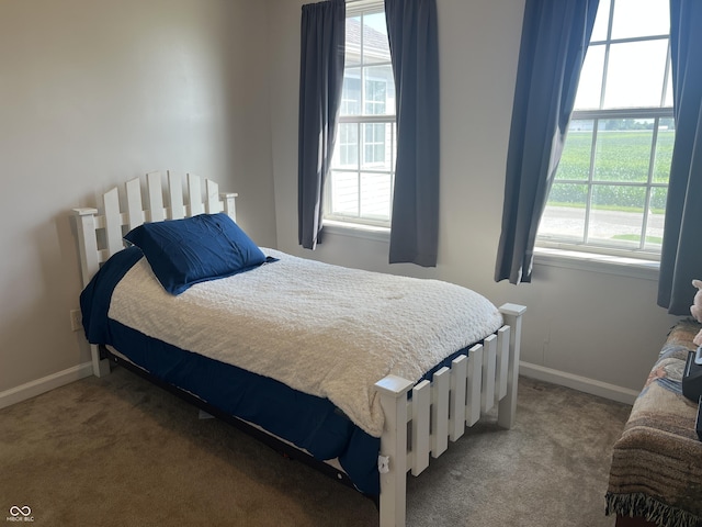 4065 W New Castle Rd, Frankfort, IN 46041 - carpeted bedroom with multiple windows