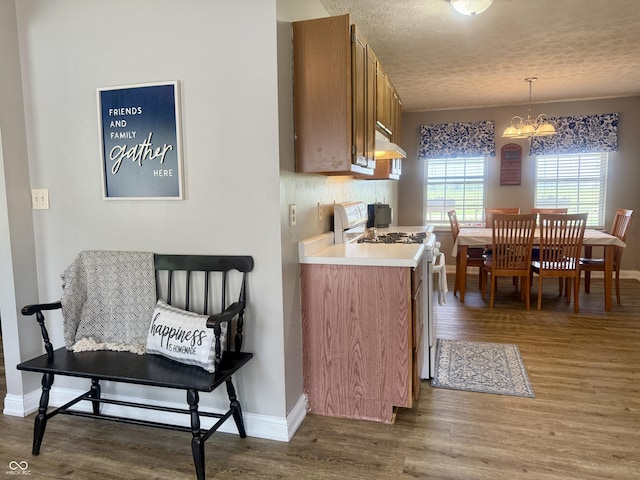 4065 W New Castle Rd, Frankfort, IN 46041 - kitchen featuring white gas range, a chandelier, brown cabinets, wood finished floors, and under cabinet range hood