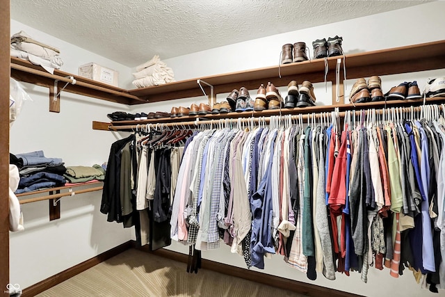 1456 Bent Tree Pl, Greenwood, IN 46143 - walk in closet featuring carpet