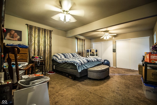 4318 Mesa Ct, Indianapolis, IN 46241 - carpeted bedroom with two closets and ceiling fan