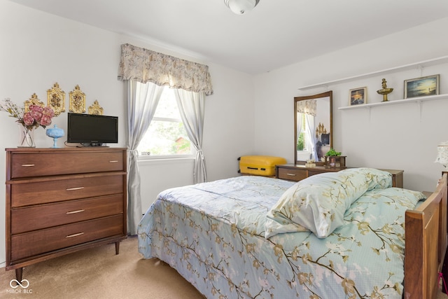 1301 N County Road 650 E, Selma, IN 47383 - photo 26