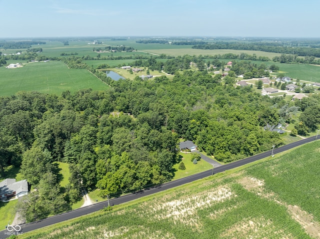 1301 N County Road 650 E, Selma, IN 47383 - photo 49