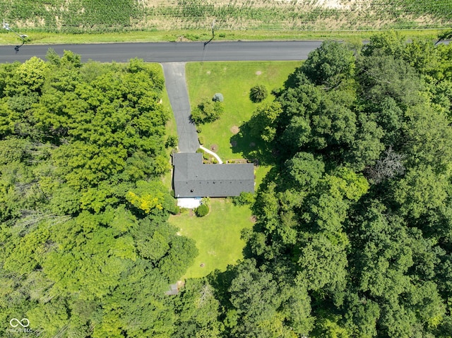 1301 N County Road 650 E, Selma, IN 47383 - photo 45