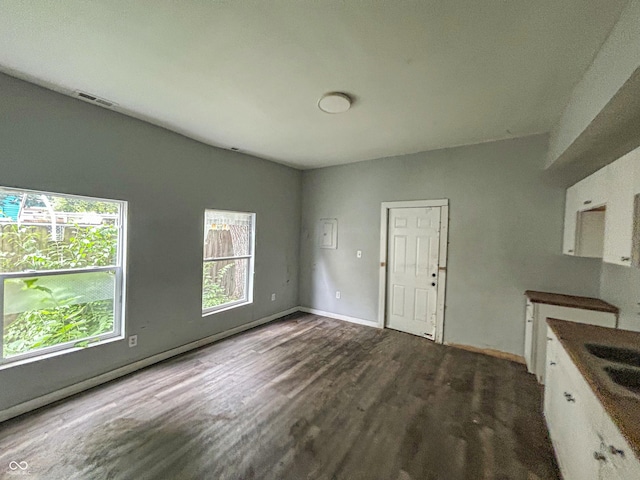 21 N Gladstone Ave, Indianapolis, IN 46201 - kitchen featuring healthy amount of natural light, dark wood-style floors, and white cabinets