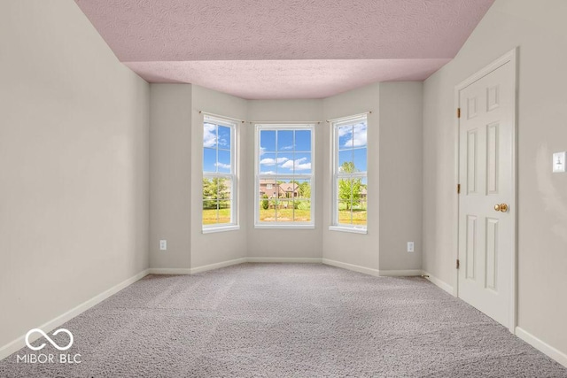 1139 Fernwood Way, Plainfield, IN 46168 - spare room with carpet floors and a textured ceiling