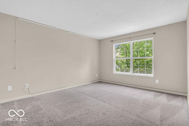 1139 Fernwood Way, Plainfield, IN 46168 - carpeted spare room with baseboards and a textured ceiling