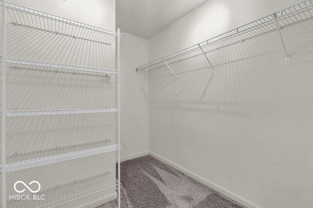 1139 Fernwood Way, Plainfield, IN 46168 - spacious closet featuring carpet flooring