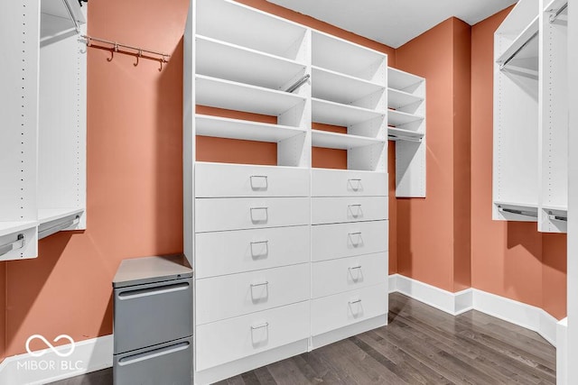 720 Willow Pointe N Dr, Plainfield, IN 46168 - spacious closet featuring dark wood-style flooring