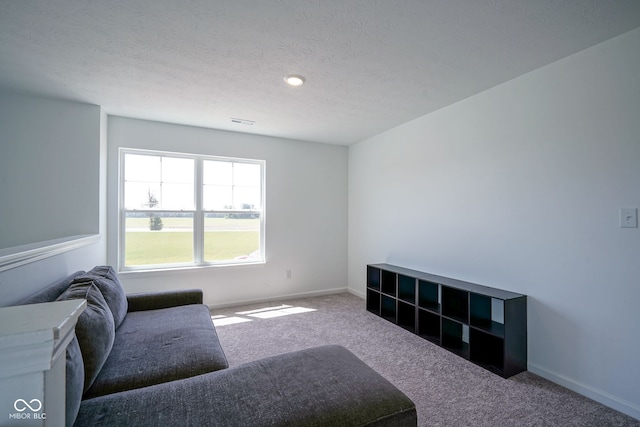 507 Redvine Dr, Sheridan, IN 46069 - living room featuring carpet and a textured ceiling