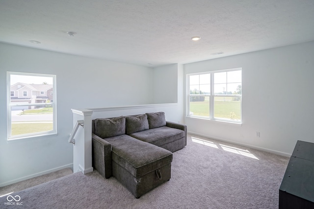 507 Redvine Dr, Sheridan, IN 46069 - living room with carpet flooring and baseboards