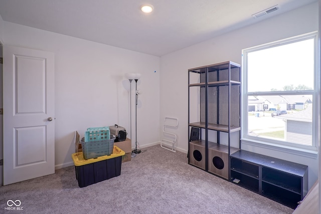 507 Redvine Dr, Sheridan, IN 46069 - sitting room featuring carpet floors and baseboards