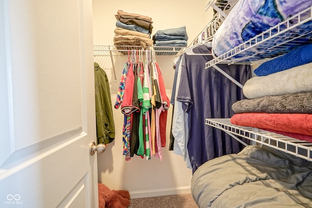 507 Redvine Dr, Sheridan, IN 46069 - walk in closet featuring carpet flooring