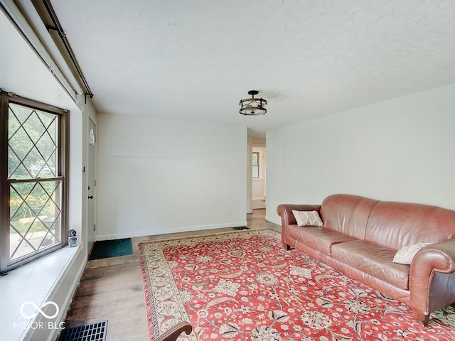1908 W Northgate St, Indianapolis, IN 46228 - living area featuring plenty of natural light and wood finished floors