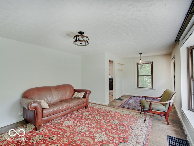 1908 W Northgate St, Indianapolis, IN 46228 - living area with wood finished floors and a textured ceiling