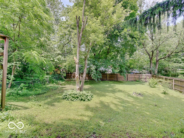 1908 W Northgate St, Indianapolis, IN 46228 - view of fenced backyard
