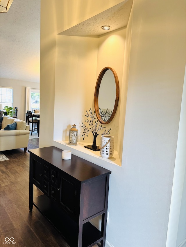 10477 Silver Ridge Cir, Fishers, IN 46038 - detailed view of wood finished floors and a textured ceiling