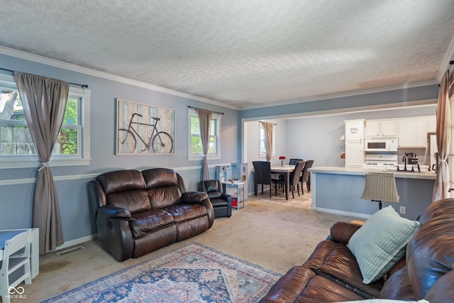1302 N Furman Ave, Indianapolis, IN 46214 - living area with light carpet, a textured ceiling, and ornamental molding