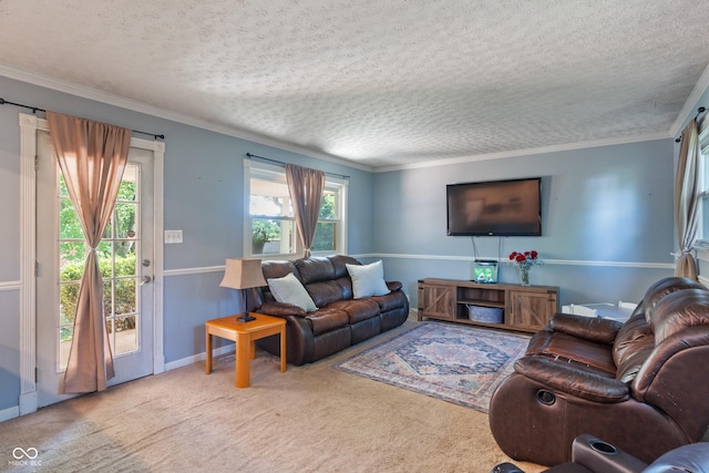 1302 N Furman Ave, Indianapolis, IN 46214 - carpeted living room featuring a textured ceiling and ornamental molding