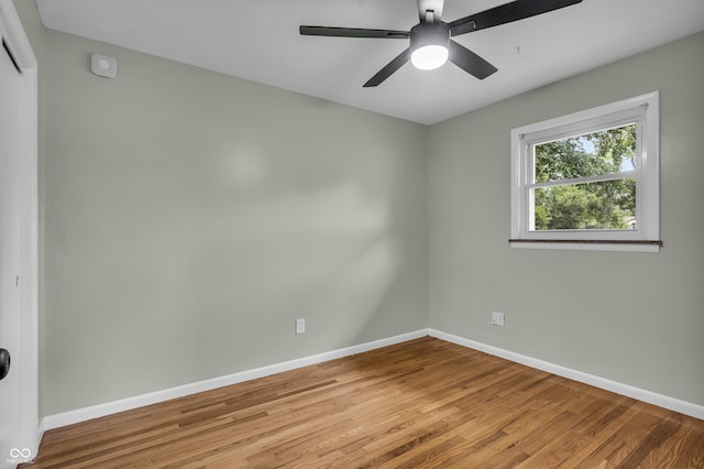 8105 Allisonville Rd, Indianapolis, IN 46250 - photo 31