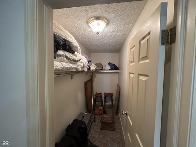 1001 Paradise Ct Unit F, Greenwood, IN 46143 - walk in closet with carpet