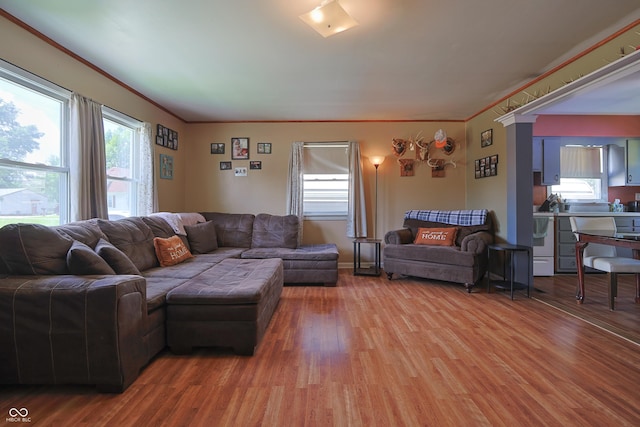1014 Washington St, Hope, IN 47246 - living room featuring plenty of natural light, light wood-style flooring, and ornamental molding