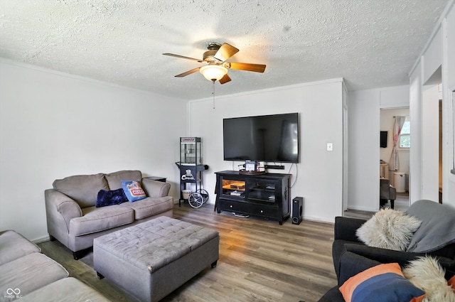 7307 Twin Beech Dr, Indianapolis, IN 46226 - living area featuring a ceiling fan, wood finished floors, and a textured ceiling