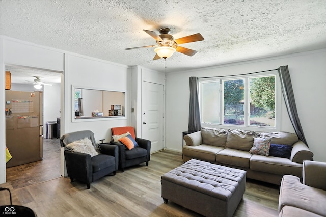 7307 Twin Beech Dr, Indianapolis, IN 46226 - living room featuring ceiling fan, a textured ceiling, and wood finished floors