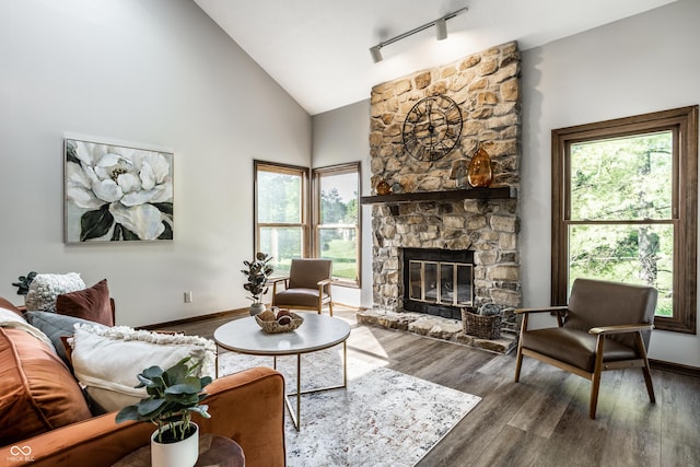 2247 Frisco Pl, Indianapolis, IN 46240 - living area with wood finished floors, healthy amount of natural light, a stone fireplace, rail lighting, and high vaulted ceiling