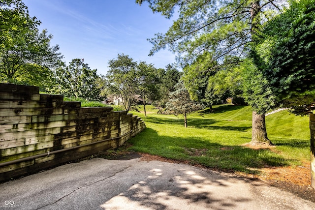 2247 Frisco Pl, Indianapolis, IN 46240 - view of green lawn with a patio area