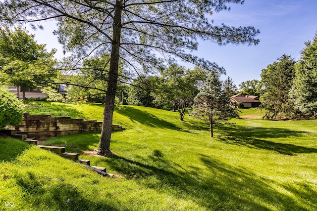 2247 Frisco Pl, Indianapolis, IN 46240 - view of green lawn