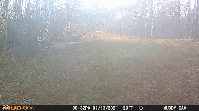 0 E 575 S, Markleville, IN 46056