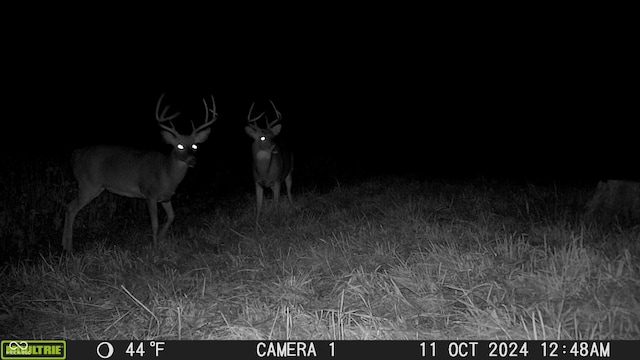 0 E 575 S, Markleville, IN 46056