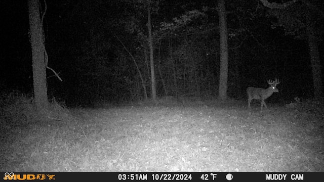 0 E 575 S, Markleville, IN 46056